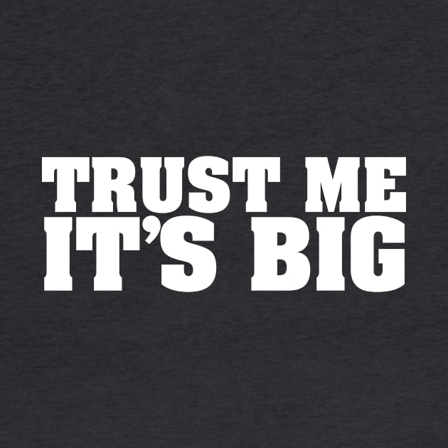 TRUST ME IT'S BIG by The Lucid Frog